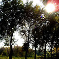 Botanic Garden, Tashkent Parks