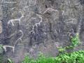 Adventure tours