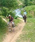 Horseback trip