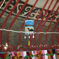 Pictures of Yurts