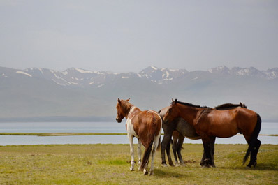 Nomads and Nature of Kyrgyzstan Tour