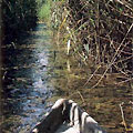 Hunting and Fishing in Azerbaijan Hunting and Fishing in Azerbaijan