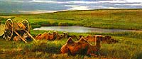 Nature of Central Kazakhstan. Kazakhstan photos