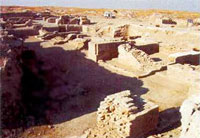 Archaeological excavations
