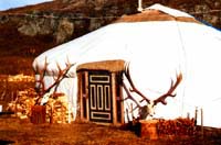 Maral Farm. Yurts