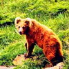 Природные заповедники Казахстана