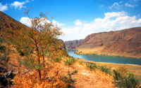 Ili river. Kazakhstan nature