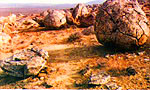 Nature of Western Kazakhstan. Kazakhstan photos