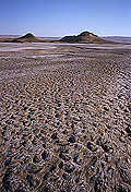 Badghyz State Reserve