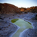 Badghyz State Reserve