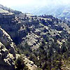Kopetdag State Reserve