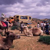 Budget Travel in Uzbekistan