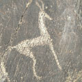 Petroglyphs in Uzbekistan