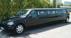Mercedes-Benz 320 L-class (up to 8 seats)