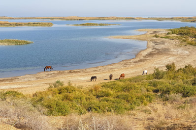 Aydarkul Lake, Uzbekistan