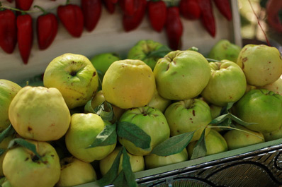 Apples, Syrdarya Region