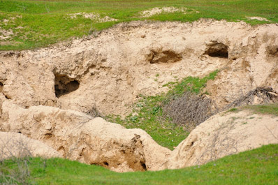 Afrasiab Settlement Site, Samarkand