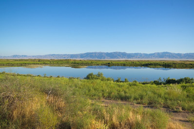 Aydarkul Lake