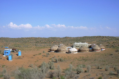 Yurt Camp